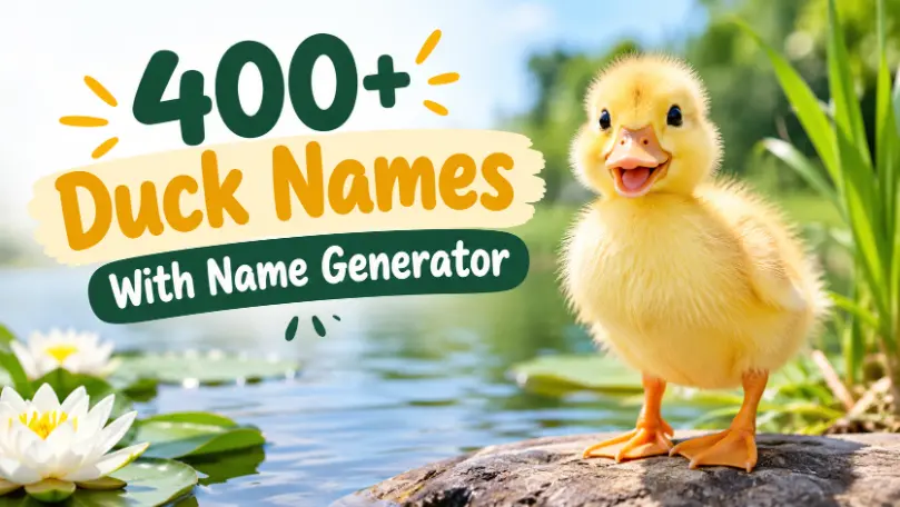 Duck names with name generator
