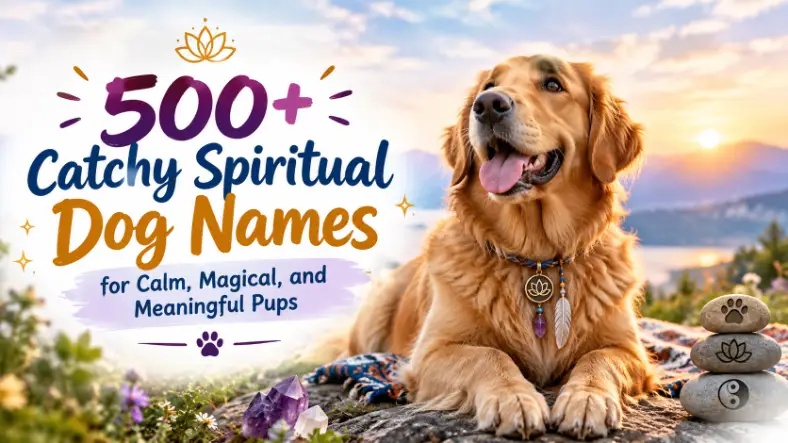 Spiritual Dog Names for Calm, Magical, and Meaningful Pups