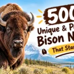 Bison Names With Name Generator