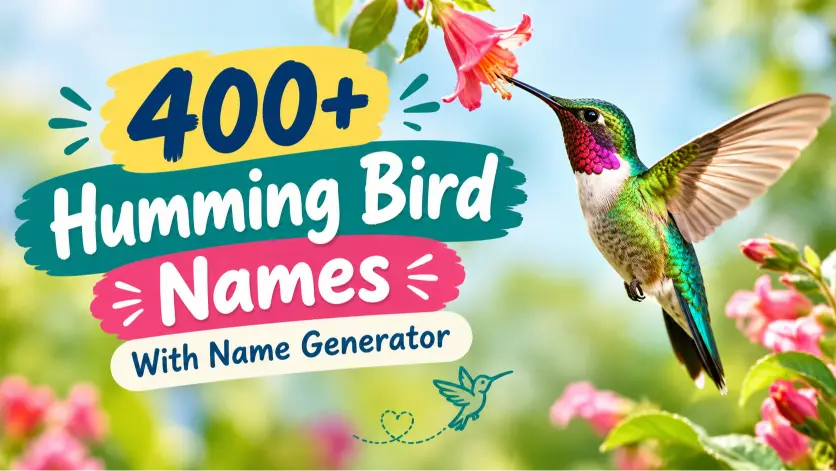 Humming Bird Names With Name Generator